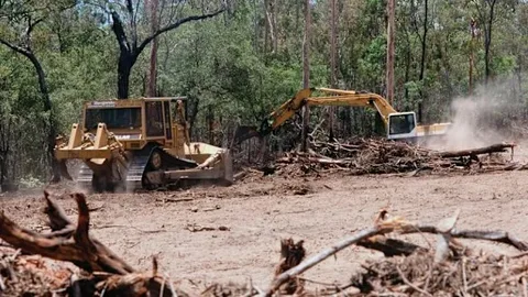 Land Clearing Services
